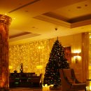 그리고율 이미지