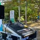 민들레장 이미지