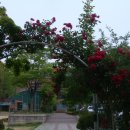 운리초교 이미지