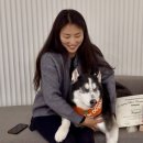 KU건국동물병원 이미지