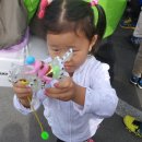 보보스캇 캠핑장 이미지