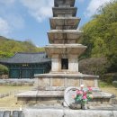 죽장사 네이버블로그