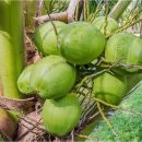 우용농장 이미지