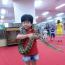 승민애견 이미지