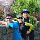 한라산 선작지왓 이미지