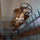 정운카마을 | 제주도 동쪽 실내 가볼만한곳 송당 스타벅스 렌트카 할인까지