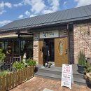 카페 봄 이미지