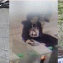 "아내 실종됐다"…'북한산 실종' 50대女, 28일 만에 숨진 채 발견 이미지
