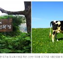 아침에 신선목장 이미지