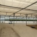 윤택농장 이미지