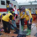 보성세탁 이미지