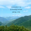 240812-0814 추계대학축구연맹전 (@강원도 태백)