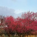 남평문씨본리세거지 주차장 안 이미지