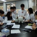 대구중앙고등학교 이미지