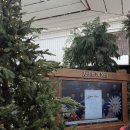 노엘농장 | 더현대 크리스마스 아틀리에 드 노엘 네이버예약 방문후기