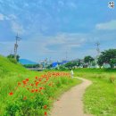 봉방천변길 이미지