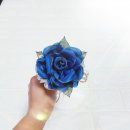 (주)로즈웨이 이미지