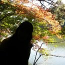 지리산 단풍비 이미지