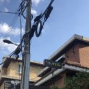 역삼-1691 이미지