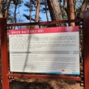 김희선생 묘소 이미지