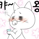 또와포차 네이버블로그