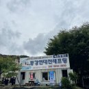 문산리 래프팅 출발지 화장실 | 영월 동강래프팅 연대천래프팅 친구들과 함께한 스릴만점 래프팅