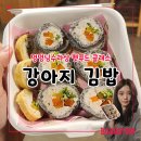 멍멍님수라상 | 전주 멍멍님수라상 펫푸드 클래스로 김밥 만들었어요