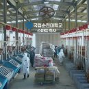 한우를세계로