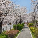 노원-상계-2195 이미지