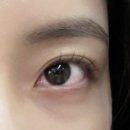 종로-신영-종로-영-239 | [다이소/삐삐래쉬] 길이 짧고 얇은 인간이 가닥 노글루 포인트 속눈썹 써본 대만족 후기