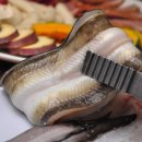 생생장어 이미지