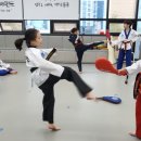 마루한멋태권도 이미지