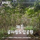 제주 태교여행 공기도 좋고 힐링하기 좋은 곶자왈도립공원 후기