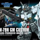 커스텀짐 이미지