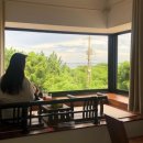 북촌별제 | 🍊제주 조천) ‘북촌별제’ 독채 숙소 3인 뚜벅이 내돈내산 후기 [가성비/일정/대만족]