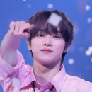 미정이네 이미지