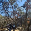 정상종합건설㈜ | 관악산 초보 등산러의 최단 코스 등반 후기(서울대 건설환경종합연구소-연주대)