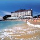 인제대학교해운대백병원 이미지