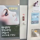 뮤리에르네일 이미지