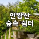 숲속 - 2449 | 숲속