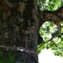 우봉경로당 이미지