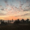 스케치 ing 이미지