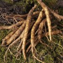 금산농장 이미지