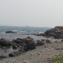 동백나무집 이미지