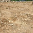 산청행운공인중개사사무소 이미지