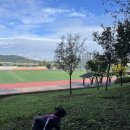 고암체육공원 이미지