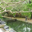 미륵농장 이미지