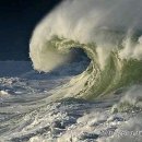 파도파도 이미지