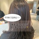 주하 디자이너님 추천 위닛블랙 목동점 솔직 후기