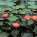 의왕초등학교 이미지